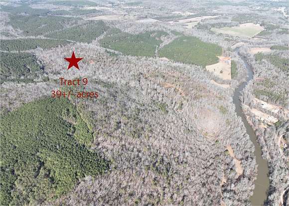 39 Acres of Recreational Land for Auction in Wedowee, Alabama