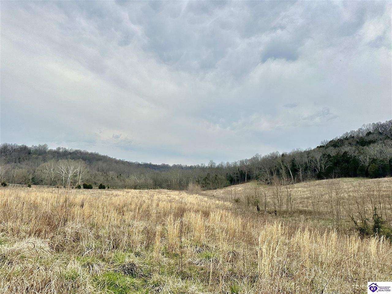 9.4 Acres of Land for Sale in Irvington, Kentucky