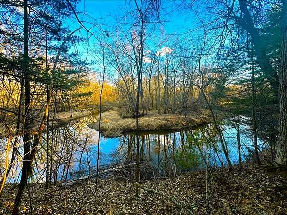 20 Acres of Land for Sale in Ladysmith, Wisconsin