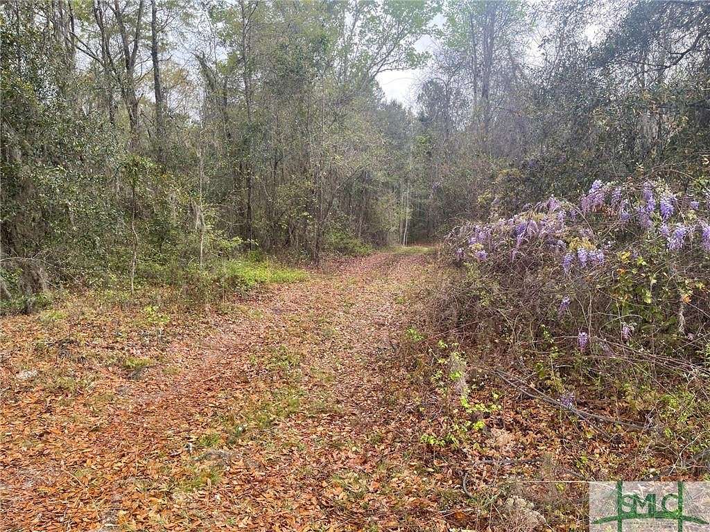 18 Acres of Land for Sale in Guyton, Georgia