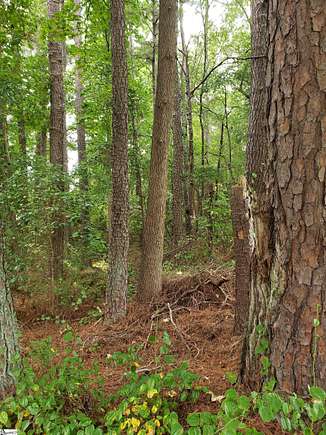 0.8 Acres of Residential Land for Sale in Spartanburg, South Carolina