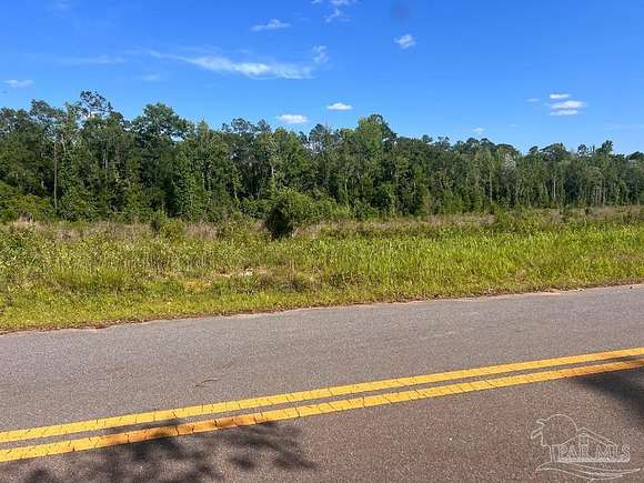 10.9 Acres of Land for Sale in Molino, Florida