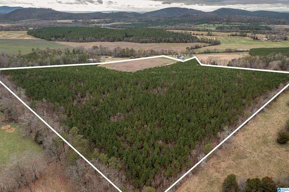 40 Acres of Land for Sale in Piedmont, Alabama