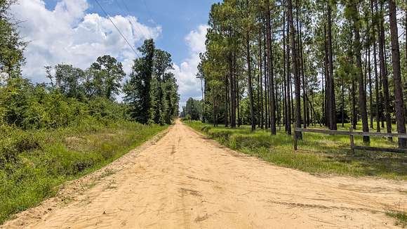 10 Acres of Residential Land for Sale in Eastman, Georgia