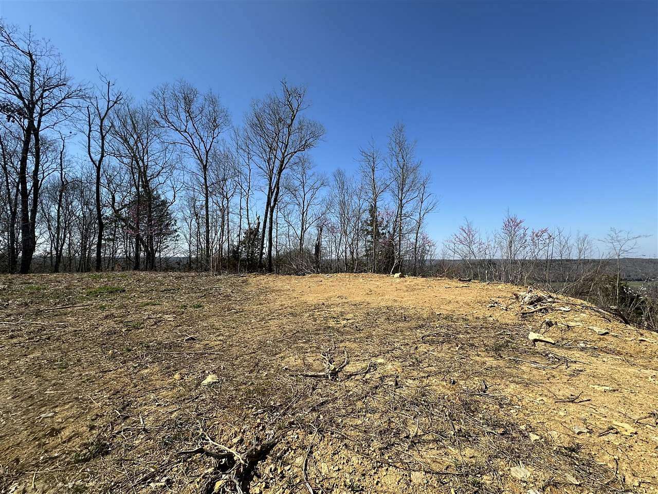 24 Acres of Land for Sale in Burkesville, Kentucky