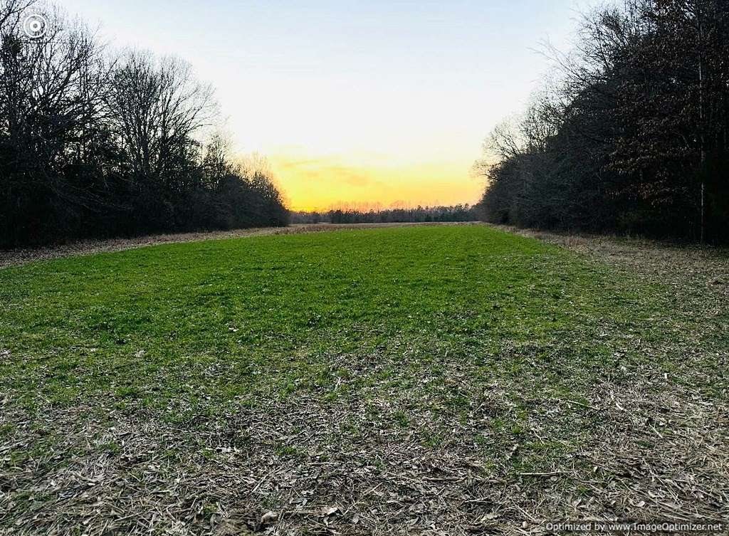 14.5 Acres of Recreational Land & Farm for Sale in West Point, Mississippi