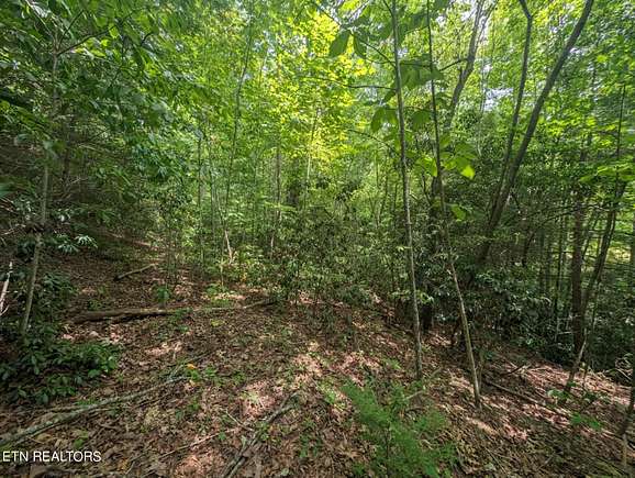 6 Acres of Residential Land for Sale in Jamestown, Tennessee