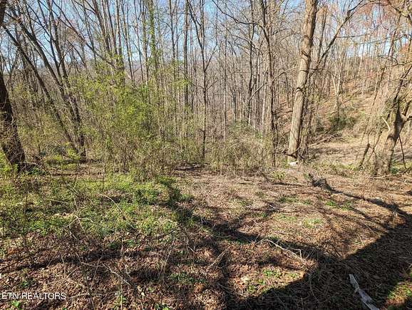 0.43 Acres of Residential Land for Sale in Rocky Top, Tennessee