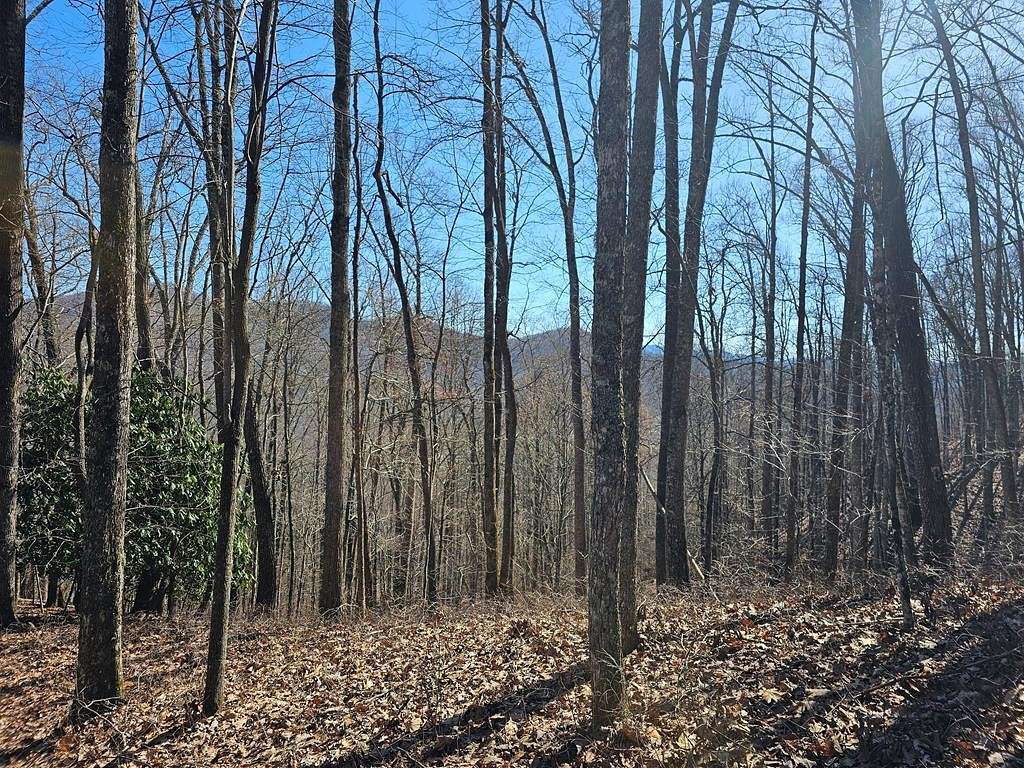 16.2 Acres of Recreational Land for Sale in Franklin, North Carolina