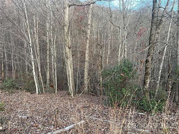 1.92 Acres of Land for Sale in Lake Lure, North Carolina