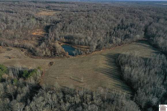 366 Acres of Agricultural Land for Auction in Wickliffe, Kentucky