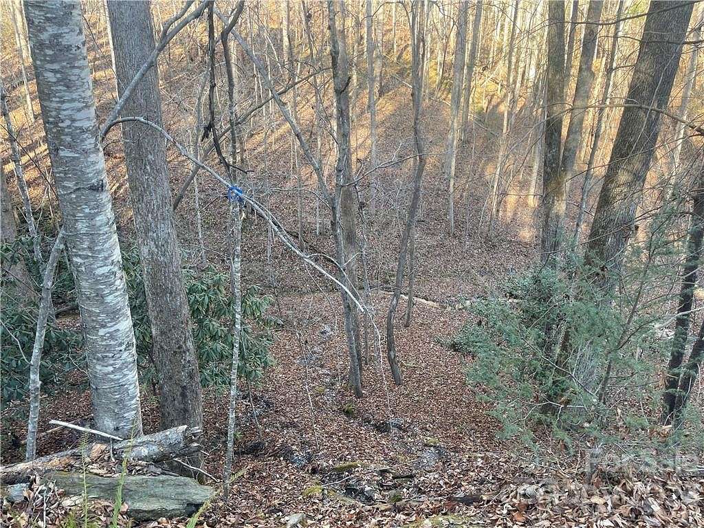 1.6 Acres of Land for Sale in Lake Lure, North Carolina
