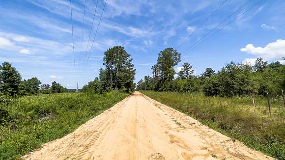 40 Acres of Land for Sale in Eastman, Georgia