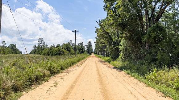 30 Acres of Recreational Land for Sale in Eastman, Georgia