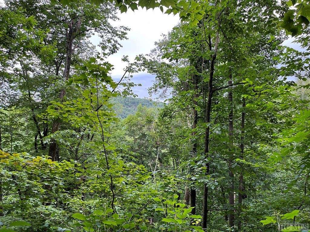 7.8 Acres of Residential Land for Sale in Glenville, North Carolina
