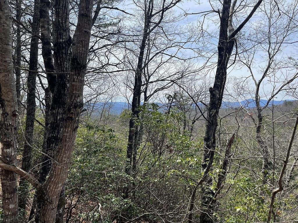 3.8 Acres of Residential Land for Sale in Franklin, North Carolina