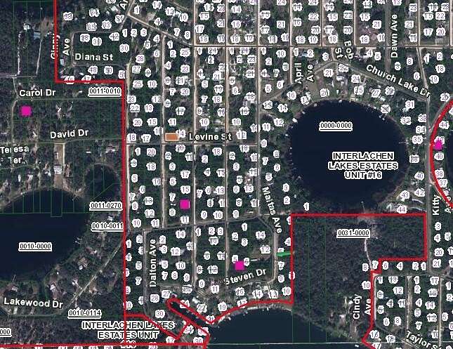 0.22 Acres of Residential Land for Sale in Interlachen, Florida