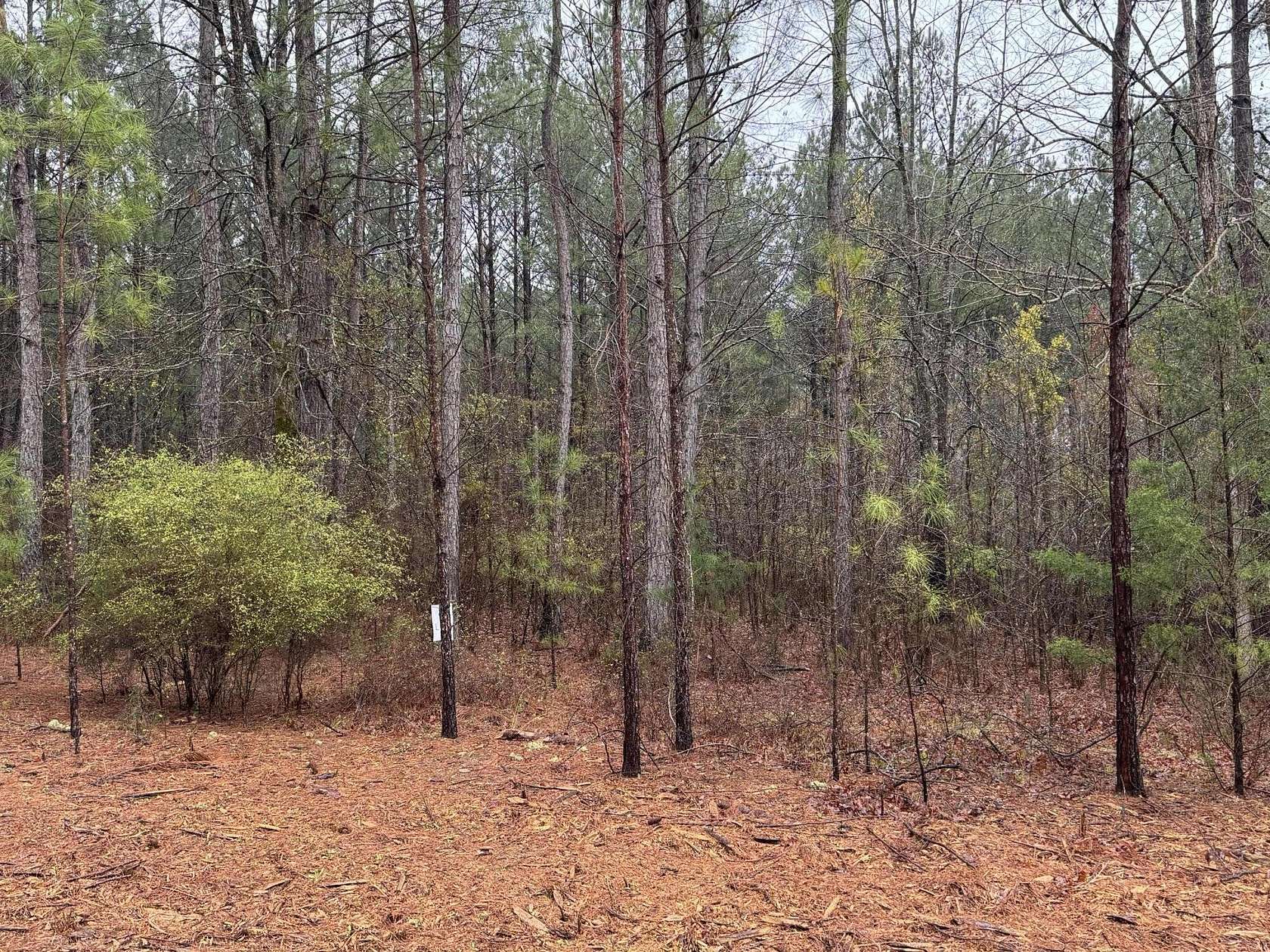 0.81 Acres of Residential Land for Sale in Lincolnton, Georgia