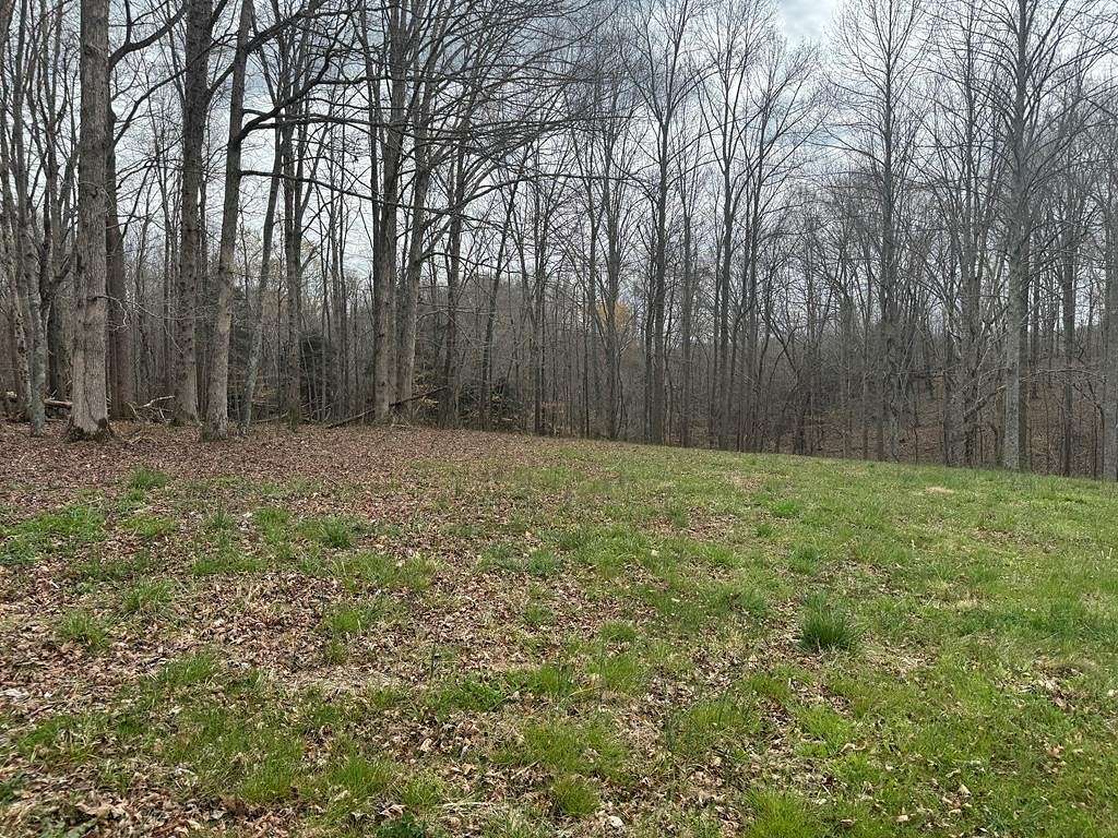 2.4 Acres of Residential Land for Sale in Gainesboro, Tennessee