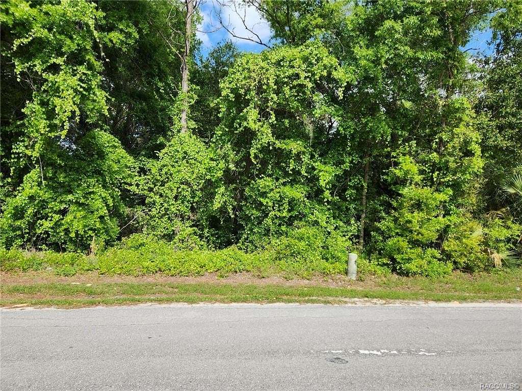 0.62 Acres of Residential Land for Sale in Inverness, Florida