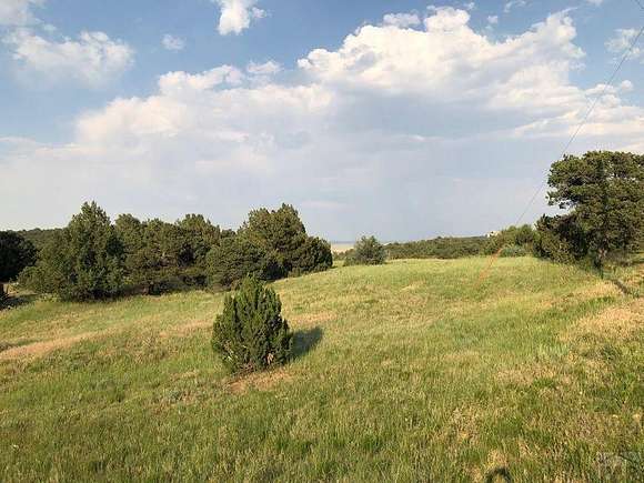 37.5 Acres of Recreational Land for Sale in Aguilar, Colorado