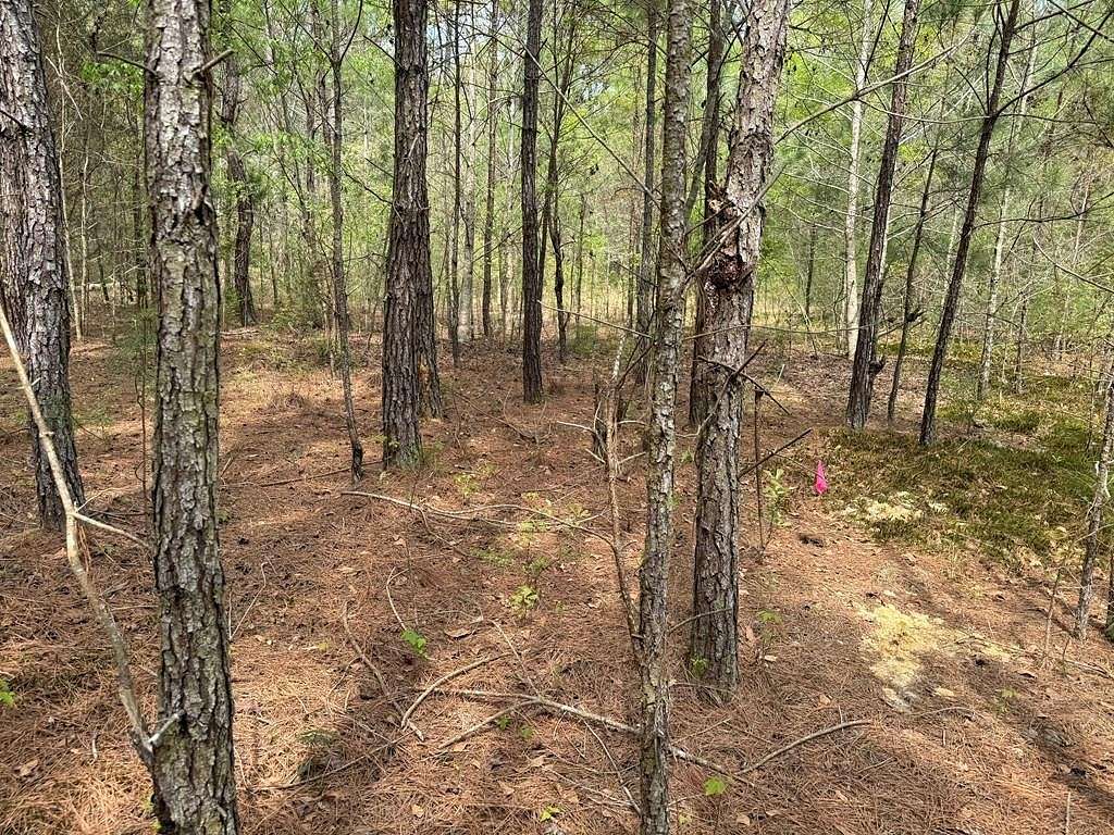3.4 Acres of Residential Land for Sale in Boston, Georgia