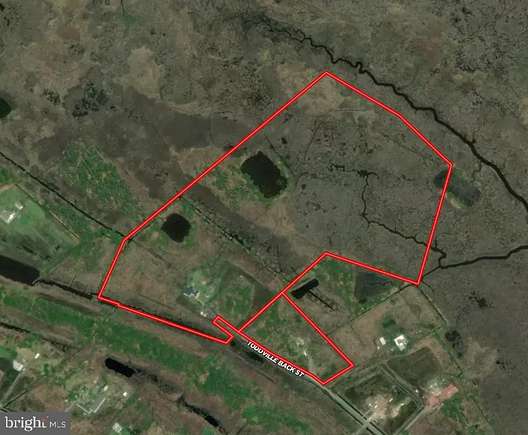21.2 Acres of Recreational Land with Home for Sale in Toddville, Maryland