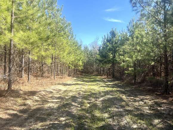 93.2 Acres of Recreational Land for Sale in Glenwood, Georgia