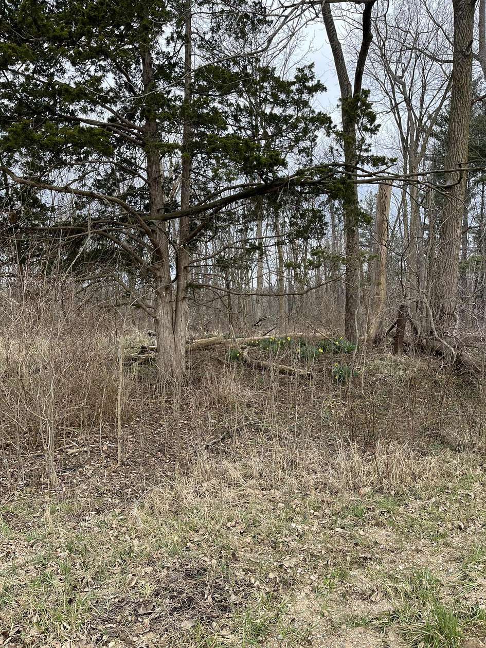 0.32 Acres of Land for Sale in Allegan, Michigan