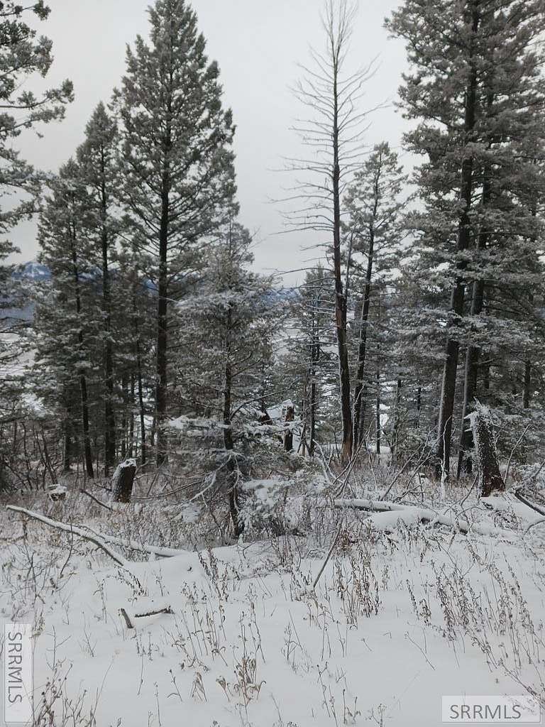 0.74 Acres of Land for Sale in Island Park, Idaho