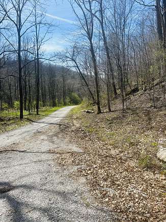10 Acres of Land for Sale in Mount Vernon, Kentucky