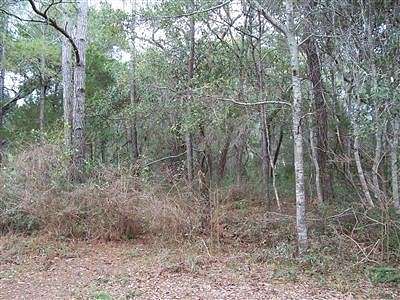 0.34 Acres of Residential Land for Sale in Bald Head Island, North Carolina
