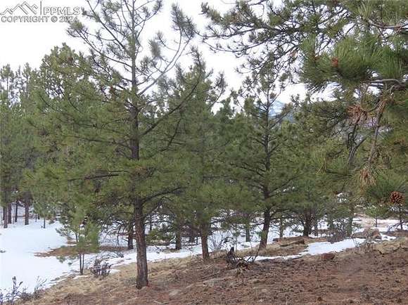 2.5 Acres of Land for Sale in Florissant, Colorado