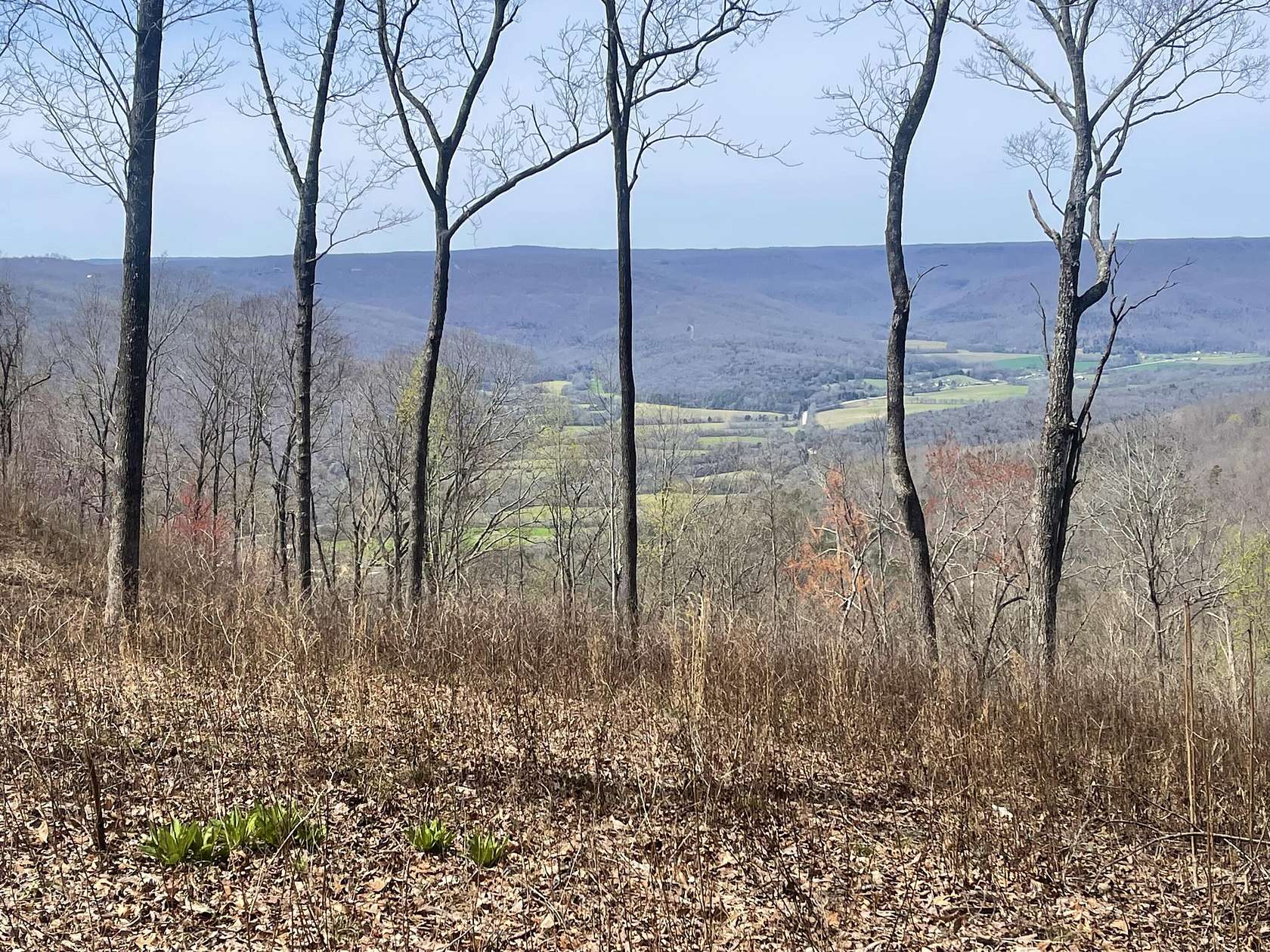3.2 Acres of Residential Land for Sale in Jasper, Tennessee