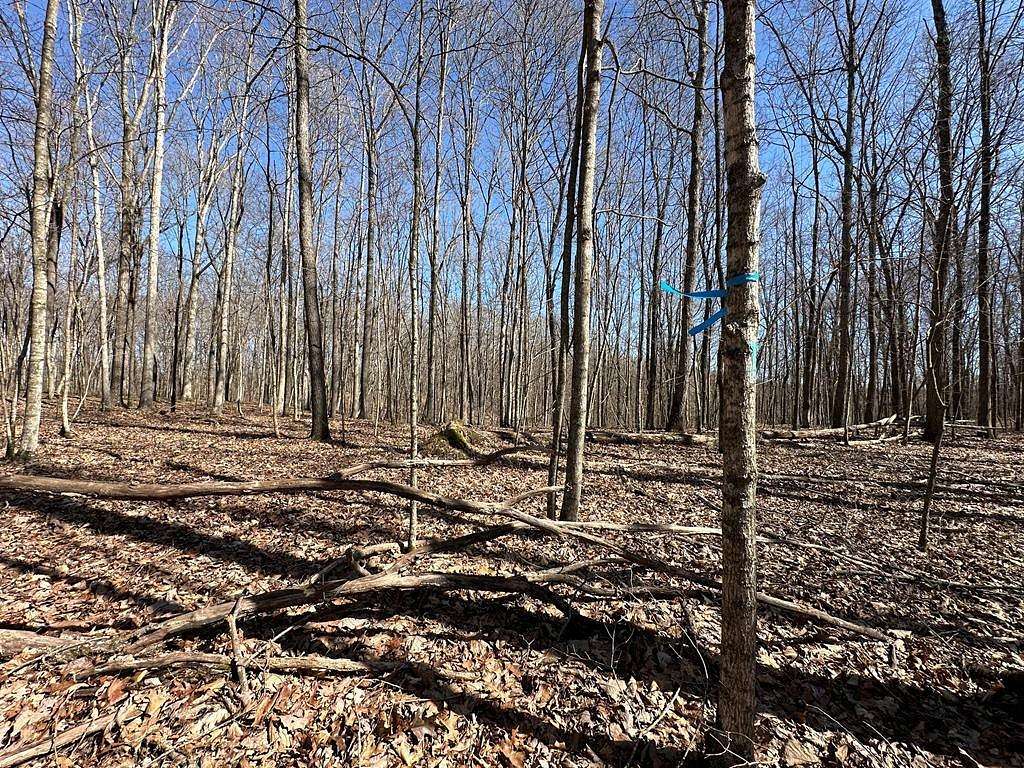 20 Acres of Recreational Land for Sale in Burkesville, Kentucky
