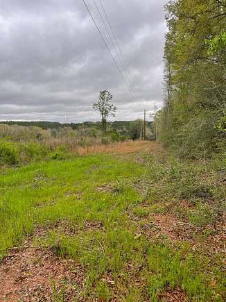 25 Acres of Recreational Land for Sale in Opp, Alabama