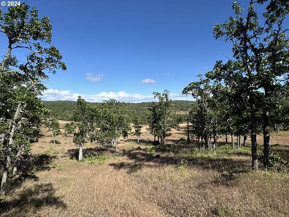 5 Acres of Recreational Land for Sale in Goldendale, Washington