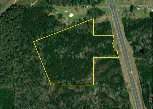 21 Acres of Land for Sale in Georgiana, Alabama