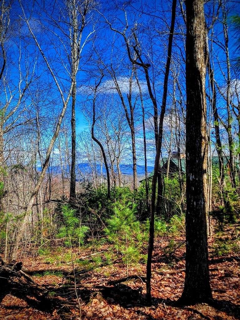 1.1 Acres of Residential Land for Sale in Blue Ridge, Georgia