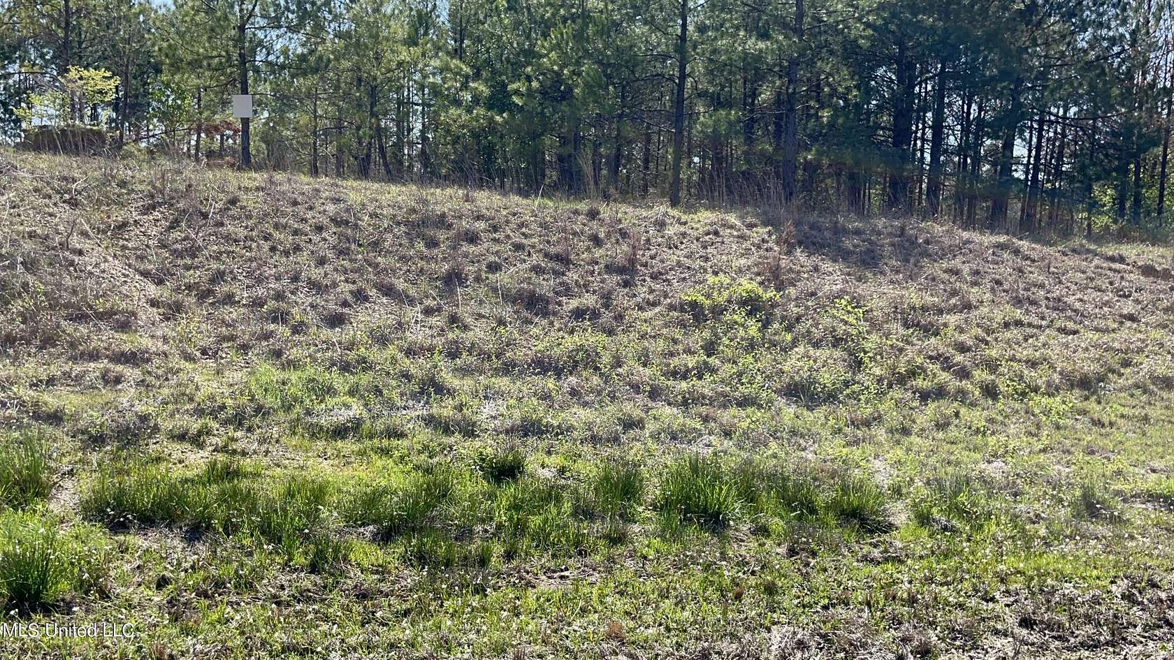 1.8 Acres of Residential Land for Sale in Crystal Springs, Mississippi