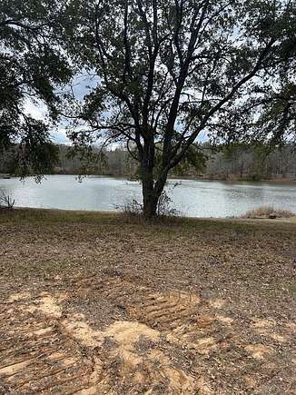 106 Acres of Recreational Land for Sale in Crystal Springs, Mississippi