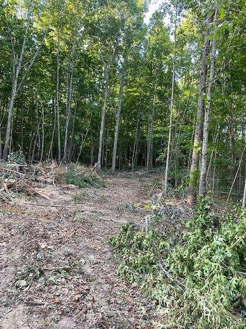 2 Acres of Residential Land for Sale in Wilder, Tennessee