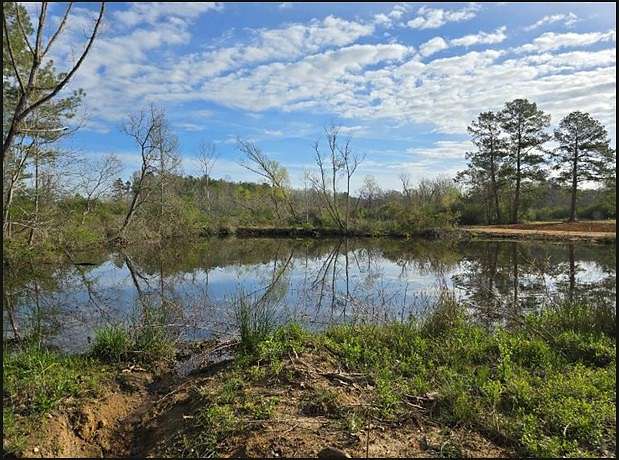 2 Acres of Land for Sale in Coleman Town, Louisiana
