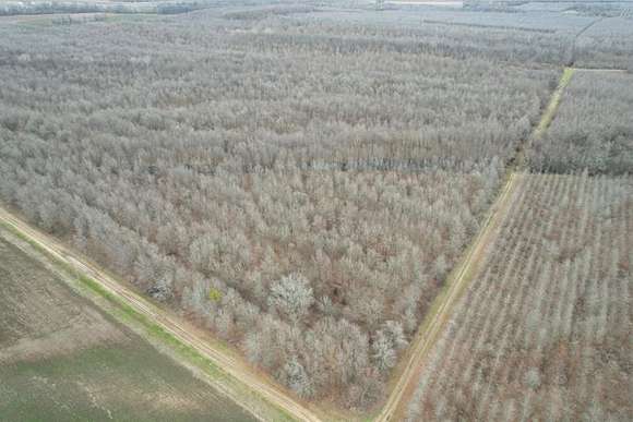 160 Acres of Recreational Land & Farm for Sale in Lake Providence, Louisiana