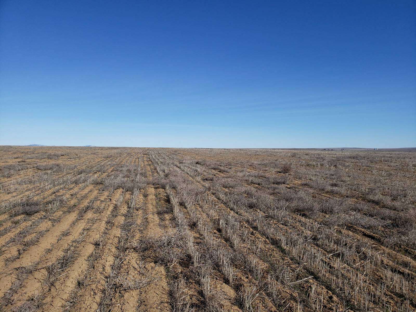 154 Acres of Agricultural Land for Sale in Waterville, Washington