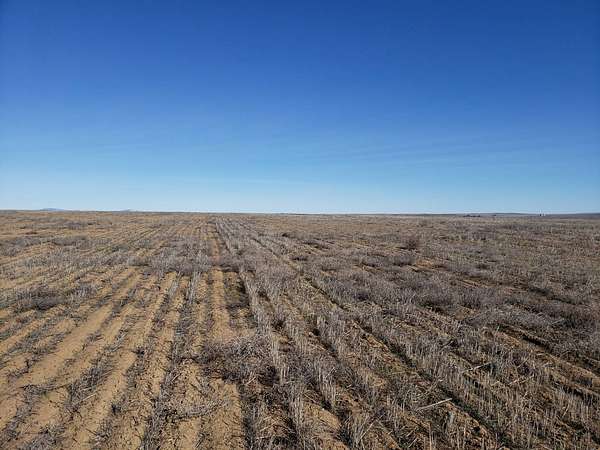 154 Acres of Agricultural Land for Sale in Waterville, Washington