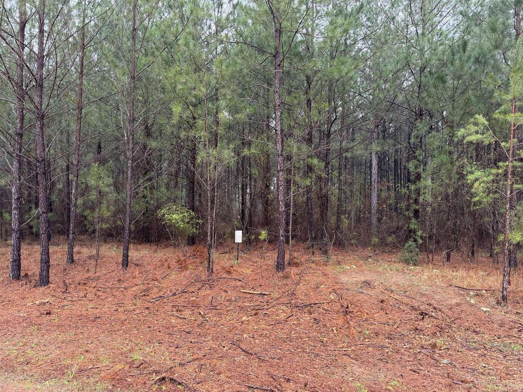 0.78 Acres of Residential Land for Sale in Lincolnton, Georgia