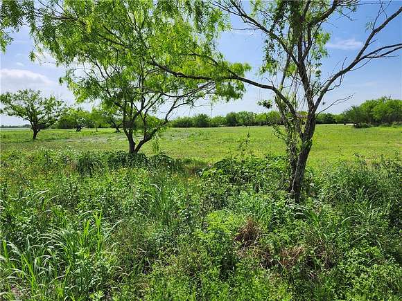 1 Acre of Residential Land for Sale in Orange Grove, Texas