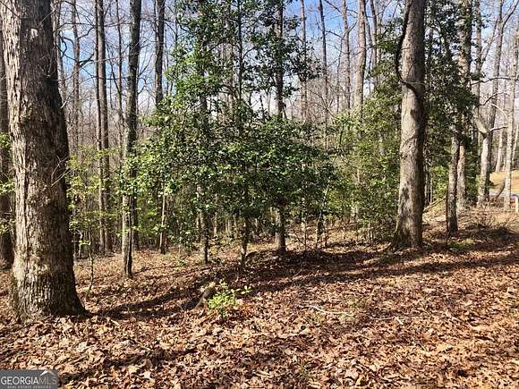 4.7 Acres of Residential Land for Sale in Demorest, Georgia