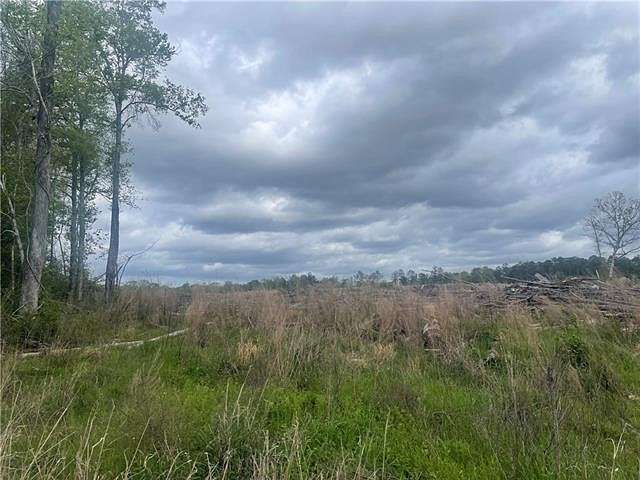 59 Acres of Land for Sale in Kentwood, Louisiana